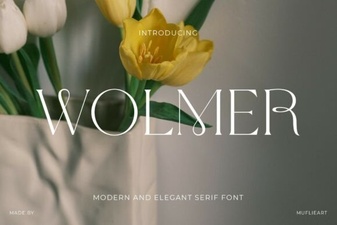 Wolmer Font: Elegant Typography for Creative Projects
